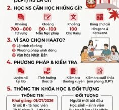 KHÓA HỌC TIẾNG NHẬT N5 TẠI HÀ NỘI – LỘ TRÌNH CHO NGƯỜI MỚI BẮT ĐẦU TẠI TRUNG TÂM HAATO