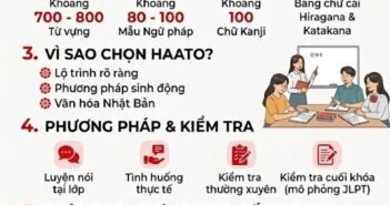 KHÓA HỌC TIẾNG NHẬT N5 TẠI HÀ NỘI – LỘ TRÌNH CHO NGƯỜI MỚI BẮT ĐẦU TẠI TRUNG TÂM HAATO