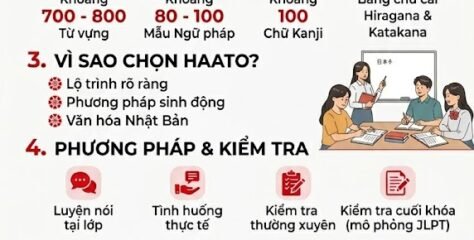 KHÓA HỌC TIẾNG NHẬT N5 TẠI HÀ NỘI – LỘ TRÌNH CHO NGƯỜI MỚI BẮT ĐẦU TẠI TRUNG TÂM HAATO