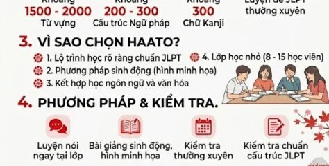 KHÓA HỌC TIẾNG NHẬT N4 TẠI HÀ NỘI LỘ TRÌNH ĐẠT JLPT N4 SAU 6 THÁNG TẠI TRUNG TÂM HAATO