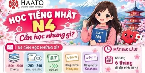 KHÓA HỌC TIẾNG NHẬT N4 TẠI HAATO LỘ TRÌNH ĐẠT JLPT N4 SAU 6 THÁNG TẠI TRUNG TÂM HAATO